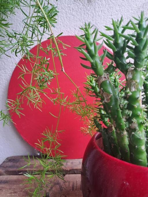 Appartement Cosy Avec Jardin Et Parking 热讷维耶 外观 照片