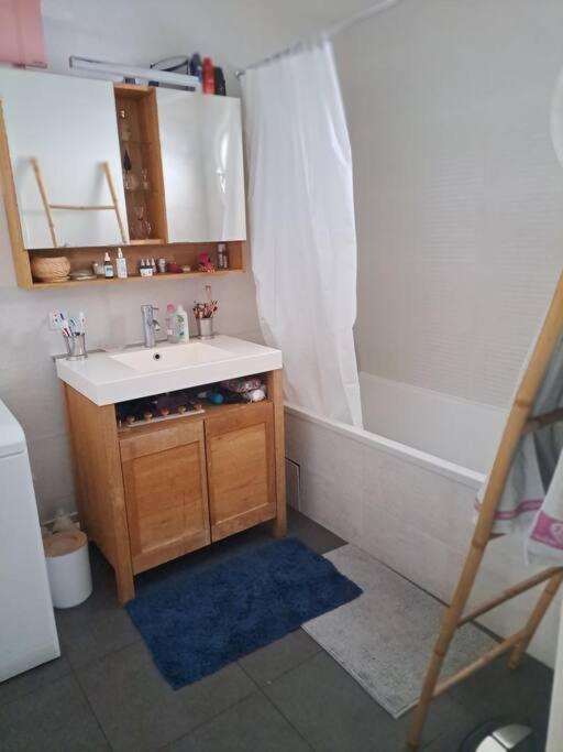 Appartement Cosy Avec Jardin Et Parking 热讷维耶 外观 照片